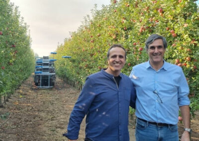 Robot “volanti” raccolgono le mele in Cile