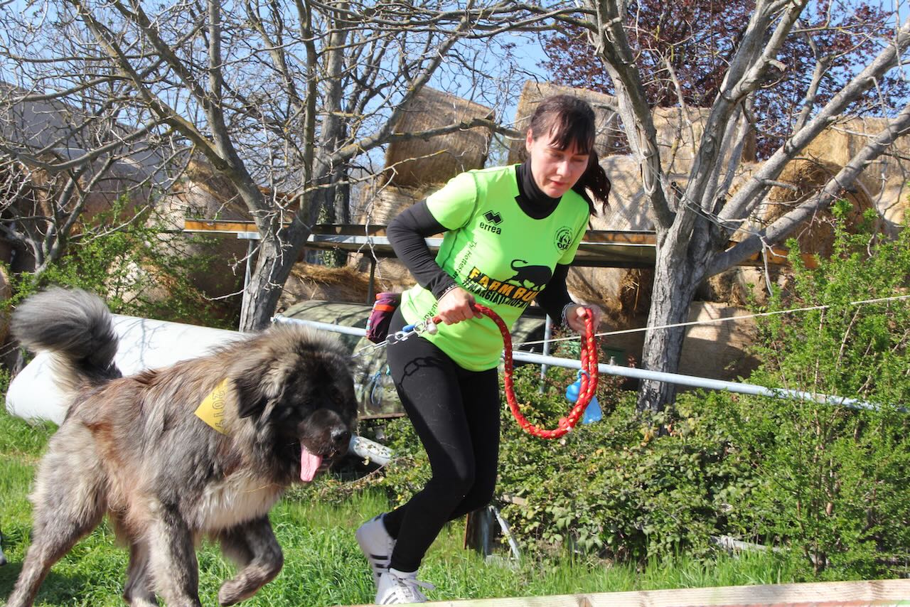 una persona con il proprio cane che partecipano alla corsa a ostacoli per la Farm Dog