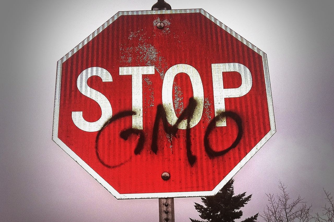 stop agli OGM